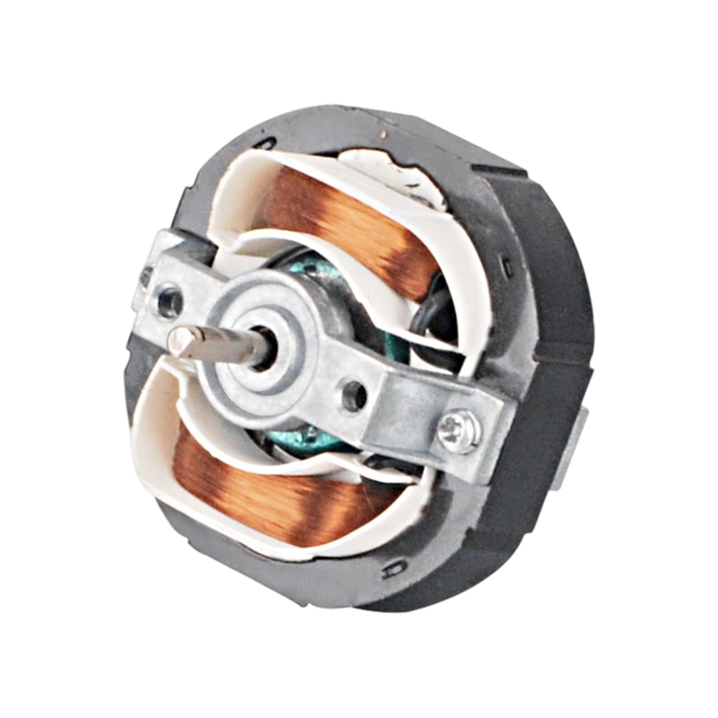 Motor elétrico FJD-01